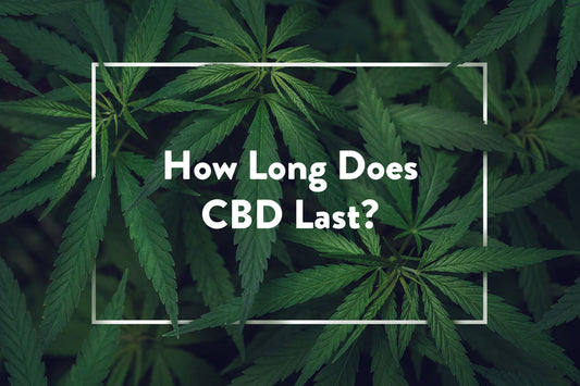 How Long Does CBD Last?