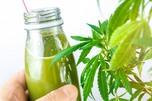 are cbd drinks good for you