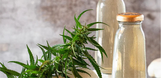 CBD Water: New Myth or Creative Innovation?